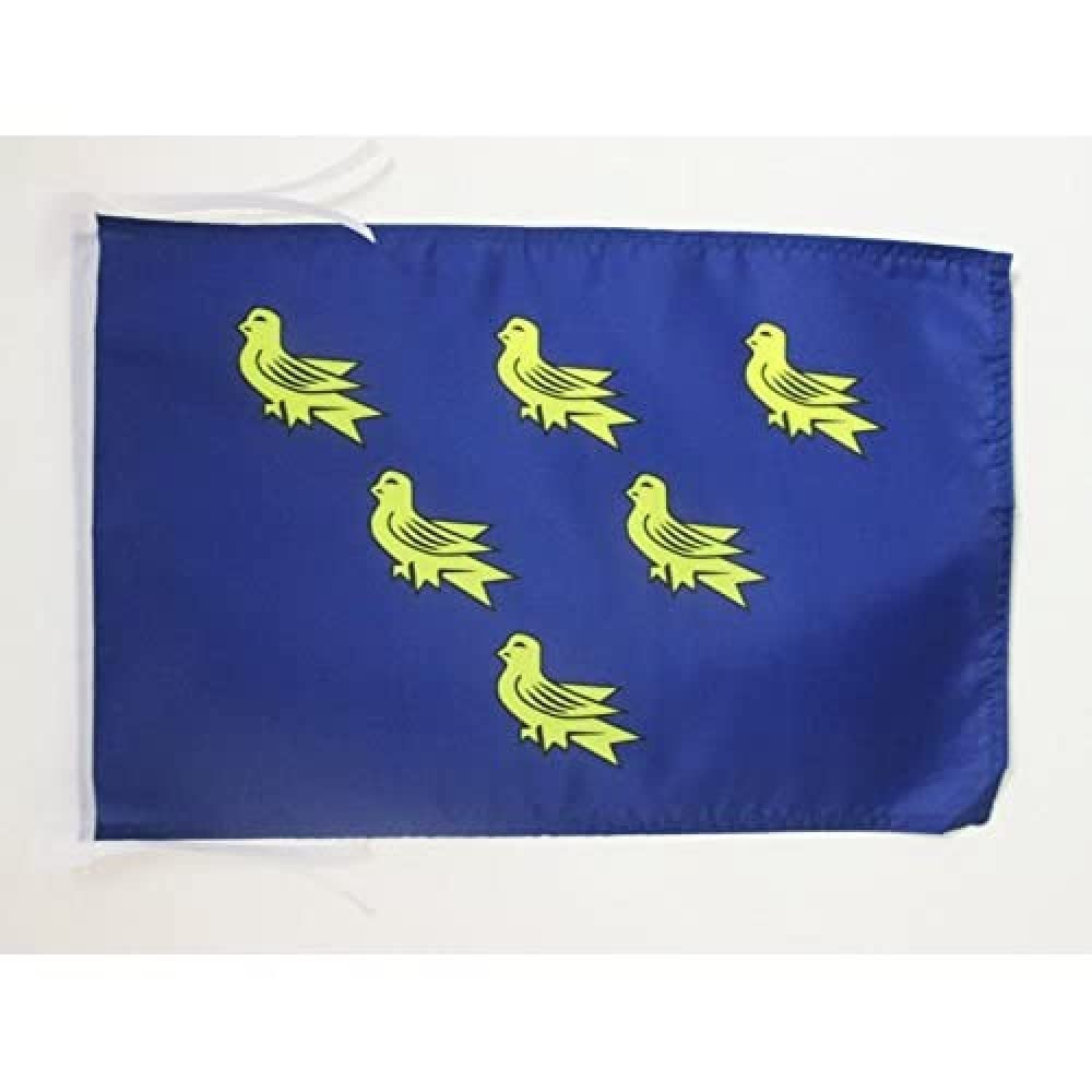 AZ FLAG - Sussex county Flag - 18'' x 12'' - 100% Polyester County of Sussex - England Small Banner with Two Cords - Fade Resistant - Vivid Colors - 18x12 in - 45x30 Cm