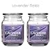 Hosley Set of 2 Lavender Fields, Highly Scented, 18 Oz EACH, Highly Scented, 18 Oz EACH, Jar Candle. Hand Poured Using a High Quality Wax Blend with Essential Oil Infused Fragrance Ingredients to Create a Highly Scented Aroma. Ideal Gift for wedding, Spa, Aromatherapy, Votive Candle Garden