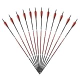 Musen Carbon Arrows 30-Inch Fletching 2.5'' Target Practice Archery Arrows for Recurve or Compound Bow(12 Pack) (Red)