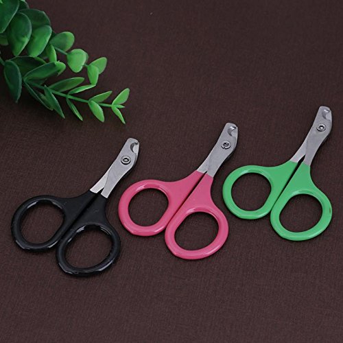 STORE-HOMER - 5pcs/Pack Sharp Blade Pet Nail Scissor Set Stainless Steel Dog Pet Toe Nail Claw Clippers For Pet Trimmers Nail Cutting Tool - Thumbnail 3