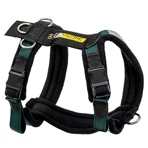 Adjustable Dog Harness, No-Pull D-Ring - Alpine Outfitters Urban Trail – Padded, Reflective, Multi-Use for Hiking, Running, and Everyday Wear - Small Teal