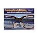 10 Pair Clear -1.8mm x 13mm Non-Slip Nose Pads for EyeGlasses by GMS Optical - Premium Grade Silicone