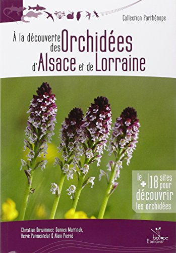 À la découverte des orchidées d'Alsace et de Lorraine
