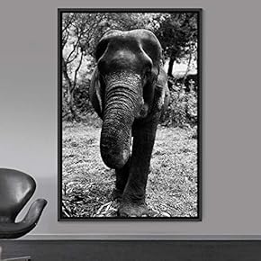 signwin Framed Canvas Wall Art Duotone Elephants Animals...