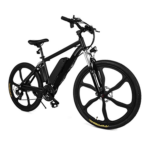 ferty folding electric bike