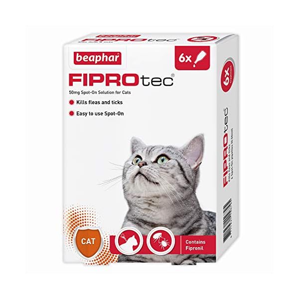 Beaphar | FIPROtec Spot-On for Cats | Kills Fleas & Ticks | Vet Strength Treatment | 6 Pipettes