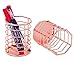 PAG Pencil Holder for Desk, 2 Pack Desktop Pen Cup, Office Supplies Rose Gold Desk Organizers and Accessories Organization, Makeup Brush Holder, Copper