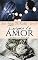 Livro Enigma do amor (Família De Marttino Livro 8)