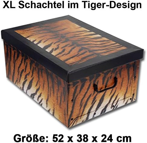 CAJA CARTON 52X38 CM.DECO ANIMALES: Amazon.es: Bricolaje y herramientas