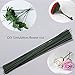 Arlai Pack of 50, Diameter 2mm Dark Green Paper Wrapped Floral stem Wire 16 Inch Floral Stem Wire - DIY Bouquet Stem Wrapping and Crafts