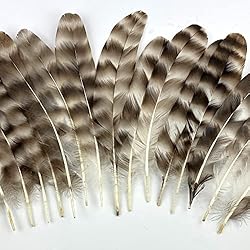 30 Pcs Natural Pheasant Feathers for DIY Craft
