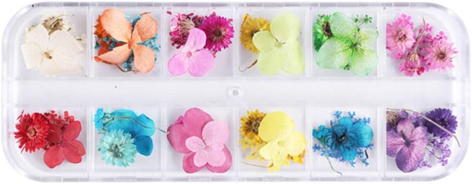 cici store 1 Box Dry Flower Crystal Epoxy Filler, DIY Craft Silicone Molds UV Resin Filling Material Decoration Accessories