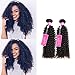 ISEE Hair Virgin Malaysian Deep Curly Jerry Curly Human Hair One Bundles,100% Unprocessed Human Curly Hair Extensions Natural Black Can Be Dyed (20'')