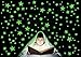 Giraffe - Glow in The Dark Stars - (250 Count)