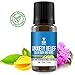 Anxiety Relief Essential Oil Blend - Pure & Natural Ingredients, Therapeutic Grade - Depression, Stress Relief, Relaxation, Boost Mood, Calming (USA) - 10ml