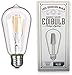 Edibulb LED Edison Bulbs Vintage Light Bulbs ST58 6W 2300K 3-Pack
