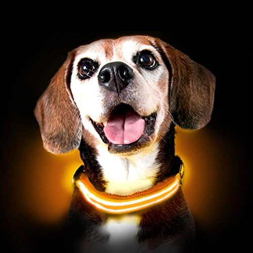 Shine for Dogs Ultimate LED Collar - Rechargeable - 7X Colors Plus Rainbow Disco Collar - Ultra Bright, Weatherproof, Durable - Made to Last. Illuminate Your Dog, Shine Bright - Be Safe.