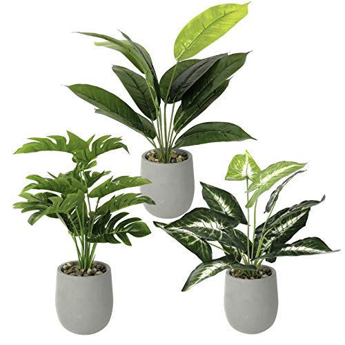 Tuokor 15" Small Artificial Greenery Plants 3 Pcs Set in Cement Pots