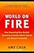 World on Fire: How Exporting Free Market Democracy Breeds Ethnic Hatred and Global Instability