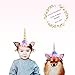 DaisyFormals Unicorn Headband for Girls Unicorn Party,2 PCS Gold and Silver