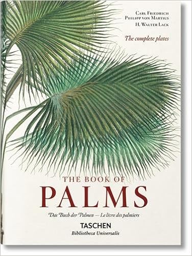 Martius: The Book of Palms Martius: The Book of Palms