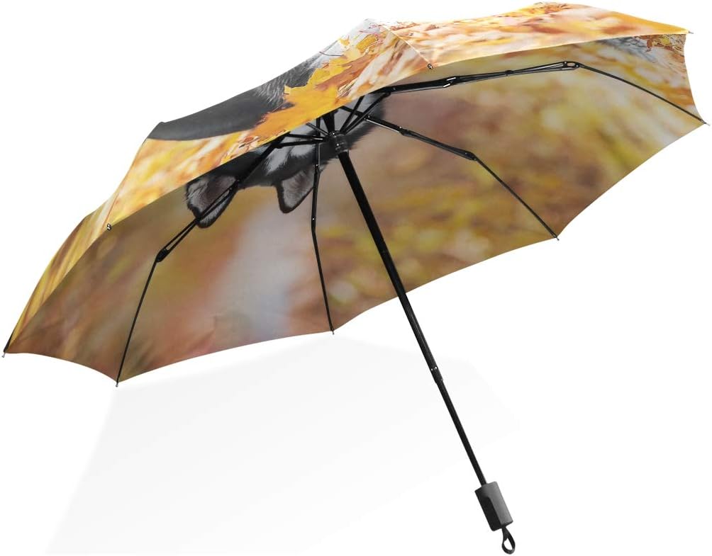 umbrella for rain and wind