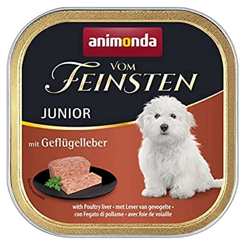 Nourriture pour chien Vom Feinsten Junior d’animonda, nourriture humide pour chien en pleine croissance, au foie de volaille, 22 x 150 g