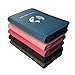 Phone Charging Passport Holder with Removable Fast Charging Power Bank that holds money, cards, phone, travel docs- RFID Blocking - Compatible with All Phones - Travel Accessories (Cerulean)