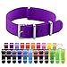 OrangeClockwork Synergy - Classic Ss NATO Nylon 16mm - Solid Purple - Interchangeable Replacement Military Watch Strap/Band