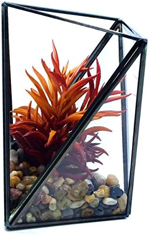 Cvens Clear Glass Terrariums,Geometric Terrariums,Geometric Air plants terrarium,Succulent planters,Artficial Plants Air Plant Geometric Terrariums Holder for Tabletop Succulent Plants Holder