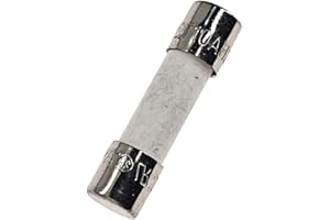 CHENGHONGXING 10PCS Ceramic fuses T10AH250V Slow-Blow 5x20mm/0.197"x0.787" 10AMP 250V (T10A)