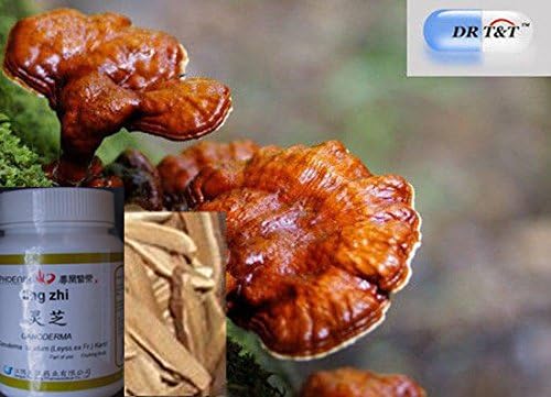 Reishi ling zhi Mushroom Glossy Ganoderma powder 100g(1;7)