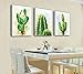 Canvas Wall Art Cactus Picture Canvas Prints Desert Plant Painting Stretched and Framed Ready to Hang for Home Office Wall Decor 12x16inchx3panels