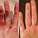 Sculling & Rowing Gloves (Small)