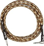 Fender 10-Foot Professional Instrument