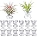 Teemico 12 Pack Stainless Steel Air Plant Holder Container Tabletop Stand Vase Pot for Hanging Air Plant Small Tillandsia Mini Cactus Faux Plants Indoor Wall Home Decorthumb 3