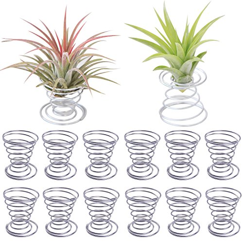 Teemico 12 Pack Stainless Steel Air Plant Holder Container Tabletop Stand Vase Pot for Hanging Air Plant Small Tillandsia Mini Cactus Faux Plants Indoor Wall Home Decor