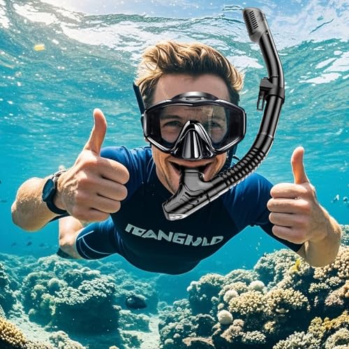 Adult Snorkel Set, Anti-Fog Panoramic Snorkel Sets with Dry Top Snorkel & Swimming Goggles for Diving, Swimming & Snorkelling
