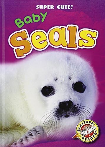 Baby Seals (Super Cute!)