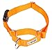 GOGO Pet Products 3/4-Inch Martingale Dog Collar, Medium, Orange
