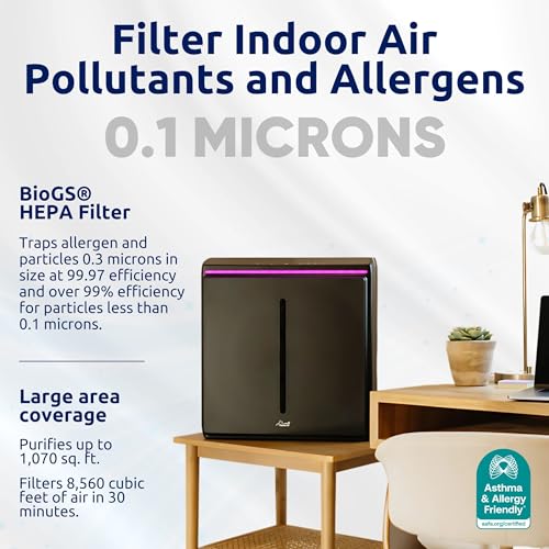 Rabbit Air, A3 SPA-1000N Air Purifiers for Home, Ultra Quiet HEPA Air Purifier - Wall Mountable Air Purifiers for Home Large Room, Allergies, Dust, Mold, Smoke & VOCs - (Black, Odor Remover Filter)
