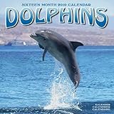 Dolphins 2010 Wall Calendar