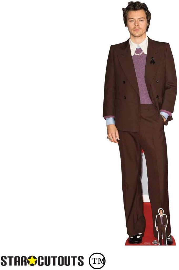 STAR CUTOUTS CS836 Harry Singer Songwriter Cardboard Cutout with Free Mini Standee Perfect for Birthdays Gifts - Image 3