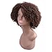 Miss Rola Synthetic Afro Curly Wig Soft Silk Kanekalon Fiber For Black Women Short Kinky Hair Natural Black Color 11