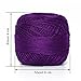 LE PAON 1000Y 8# 50g Mercerized Cotton Crochet Thread Balls Purple Pearl Cotton Knitting Yarn Balls for Crochet Hardanger Cross Stitch Friendship Bracelets 2 Balls (Color No.:550)
