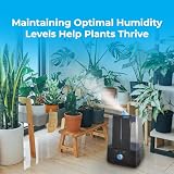 RAM Ultrasonic 5L Humidifier for Bedroom Large Water Tank Auto Shut Off view 3