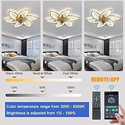 LENIVER 30" Smart Ceiling Fan with Lights Remote