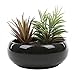 MyGift 8 Inch Glazed Black Ceramic Succulent Planter Pot - Decorative Flower Plant Bowl with Removable Saucer