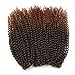 Kinky Curl 12 Inch Afro Kinky Twist Hair Soft Synthetic Crochet Braiding Hair Extention (12inch T30)
