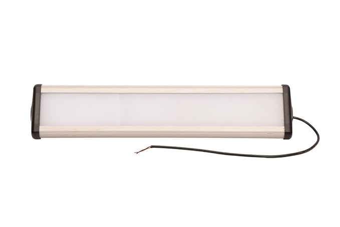 LEO 60 Watt Street Light